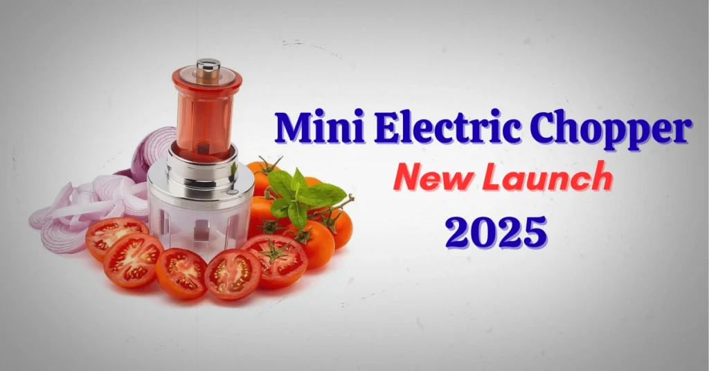 Mini Electric Chopper New Launch 2025