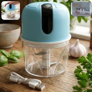 Electric Chopper with USB Rechargeable